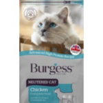 Burgess neutered cat