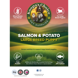 Large breed Salmon & potato puppy food