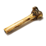 Ostrich Bone