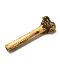 Ostrich Bone